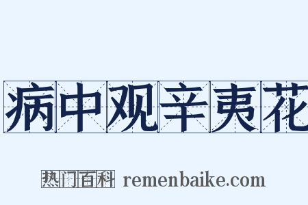 病中观辛夷花是什么意思的图片